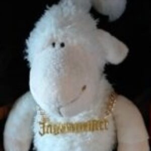 Profilbild von Schafschütze